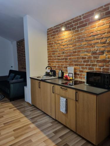 Kuchyňa alebo kuchynka v ubytovaní Apartament pod Wawelem