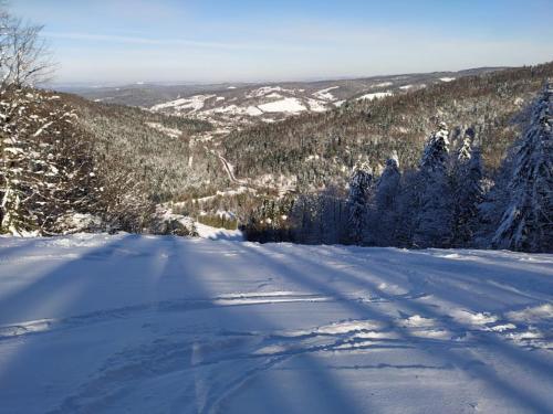 a view of a snow covered mountain with trees at Krystyna in Bystre