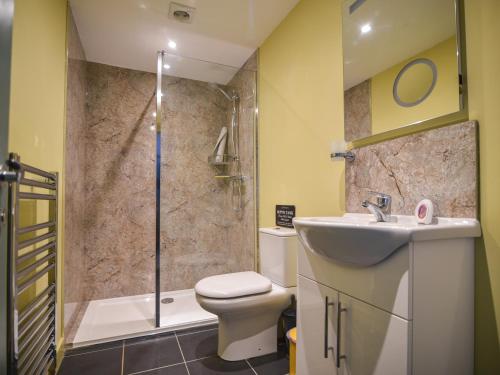 a bathroom with a shower and a toilet and a sink at Sunnyside at Coomb Bank Farm in Axminster