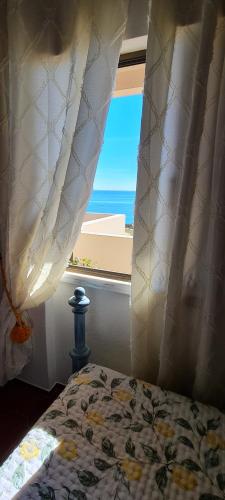 Donana 91 photo 2