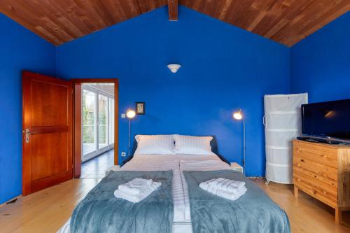 ein blaues Schlafzimmer mit einem Bett und einem TV in der Unterkunft Vila Nadrožica 
