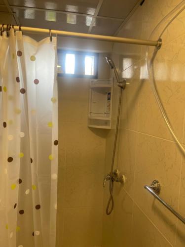 een douche in een badkamer met een douchegordijn bij 15 Acogedor dpto de un ambiente en miraflores in Lima