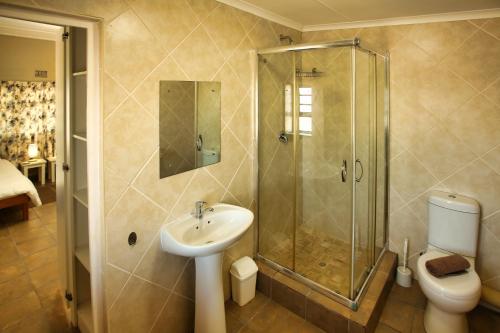 a bathroom with a shower and a sink and a toilet at Oppi Stuppi Langebaan in Langebaan