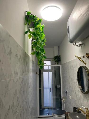 Leo’s corner in Milan