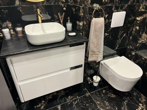 a black and white bathroom with a sink and a toilet at Luxurynight-Spa in Strasbourg
