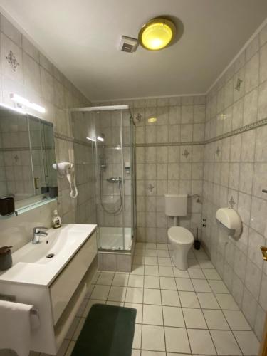 a bathroom with a shower and a sink and a toilet at Pension Rucksackpeter in Hohenbrugg an der Raab