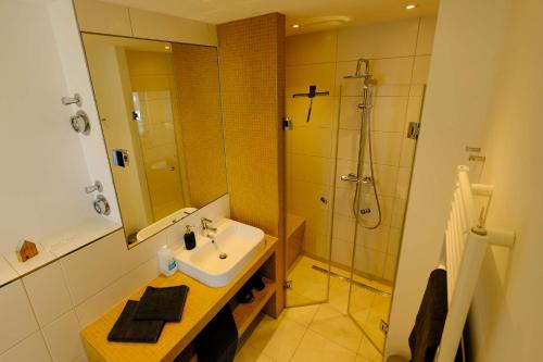 ein Bad mit einem Waschbecken und einer Dusche in der Unterkunft Barbarossa Suite in Erfurt