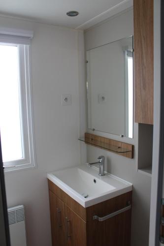 une salle de bain avec un lavabo et un miroir dans l'établissement La nature en famille, à Litteau