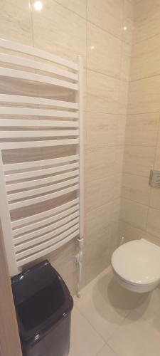 a bathroom with a white toilet and a black seat at Domek nad wodospadem in Zakopane