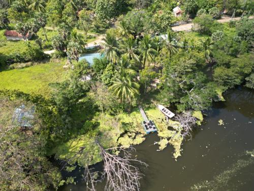 an aerial view of a river with palm trees and boats at Wilpattu Green Cabin in Achchamulai