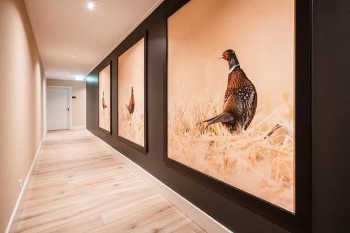 a hallway with a row of paintings on the wall at Hof van Halle in Halle