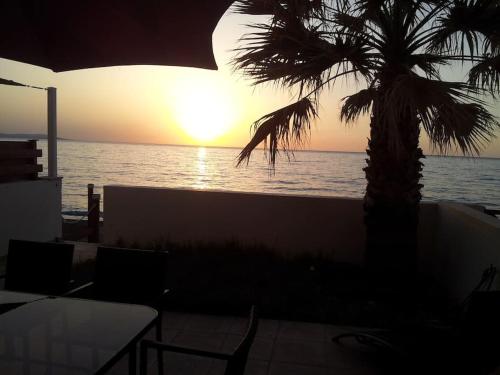 a palm tree in front of the ocean at sunset at Uniquely located on the beach in Ayia Marina