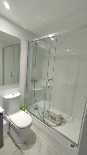 uma casa de banho com um WC e uma cabina de duche em vidro. em Hermoso Departamento con vista al Mar em Viña del Mar