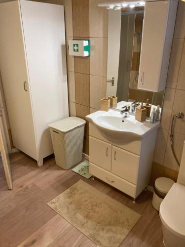 a bathroom with a sink and a toilet and a mirror at Lilakő Apartman in Mátraszentimre