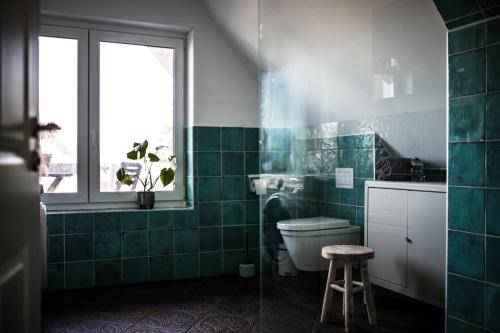 baño con aseo, ventana y azulejos verdes en Schwarze Möwe, en Grambin