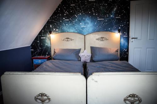 una camera da letto con un letto e un soffitto stellato di Schwarze Möwe a Grambin