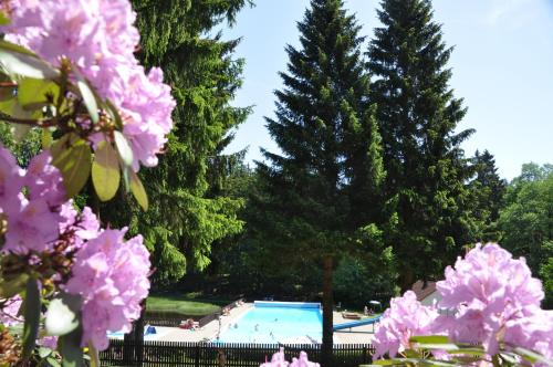 a swimming pool in a park with pink flowers at Ferienapartments am Brocken in Schierke