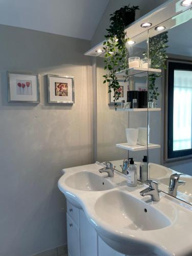 uma casa de banho com 2 lavatórios e um espelho em Maisonnette vue panoramique lac d'Annecy em Veyrier-du-Lac