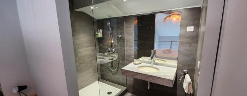 La salle de bains est pourvue d'un lavabo et d'une douche avec un miroir. dans l'établissement Beau duplex vue mer avec piscine et accès plage, à Saint-Martin