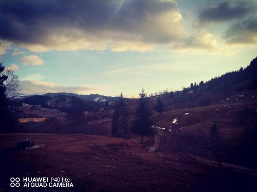Blick auf einen grasbewachsenen Hügel mit Bäumen darauf in der Unterkunft La cabana lu' Vasile in Fundu Moldovei
