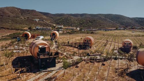 an aerial view of a winery in a vineyard at Finca el Mirador in Valle de Guadalupe