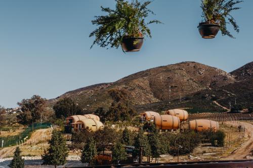 a group of gas tanks in front of a mountain at Finca el Mirador in Valle de Guadalupe
