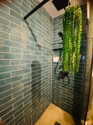 City Park EME 5