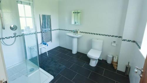 a bathroom with a toilet and a sink and a shower at The Byre in Strathyre