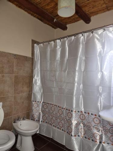 a bathroom with a shower curtain and a toilet and a sink at Cabañas Inti Raymi in Huacalera