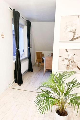a living room with black curtains and a potted plant at Modernes Apartment mit Balkon free Parking Netflix in Celle