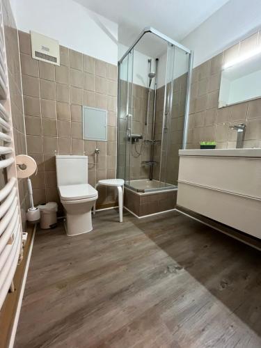 een badkamer met een toilet, een douche en een wastafel bij Ferienwohnung Schiffsblick Horumersiel in Wangerland