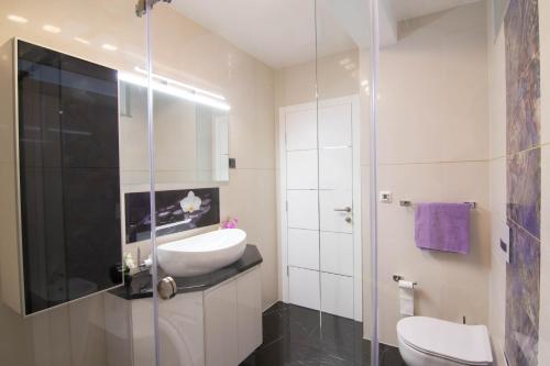 a bathroom with a sink and a toilet and a shower at Apartman PAOLA in Vrh