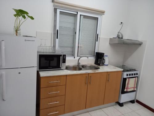 a kitchen with a sink and a microwave and a refrigerator at Arco-yris in Ponta do Sol