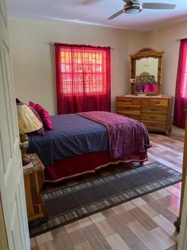 Schlafzimmer mit einem Bett, einer Kommode und einem Spiegel in der Unterkunft Boston Bay, Portland Cozy Corner in Port Antonio