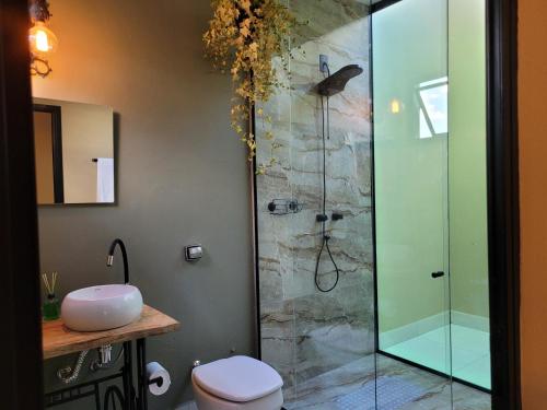 een badkamer met een douche, een toilet en een wastafel bij BrotasLoft in Brotas