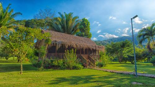a hut with a grass roof and palm trees at Bocawina Rainforest Resort in Hopkins