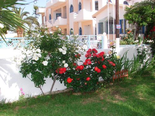 Κήπος έξω από το Joanna Apartments 