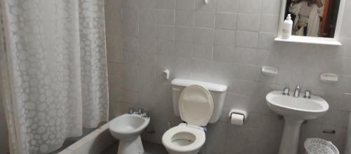 een witte badkamer met een toilet en een wastafel bij La Rosadita del Paraje in Villa Yacanto