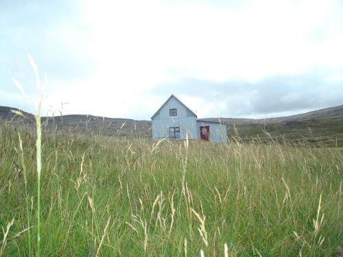 a white house in a field of tall grass at Hænuvík Cottages in Örlygshöfn