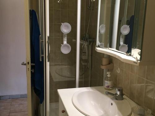 une salle de bain avec un lavabo, un miroir et une douche dans l'établissement T1 Climatisé au Port de Hyères avec Véranda meublée, proche Plages et Commerces - FR-1-335-186, à Hyères