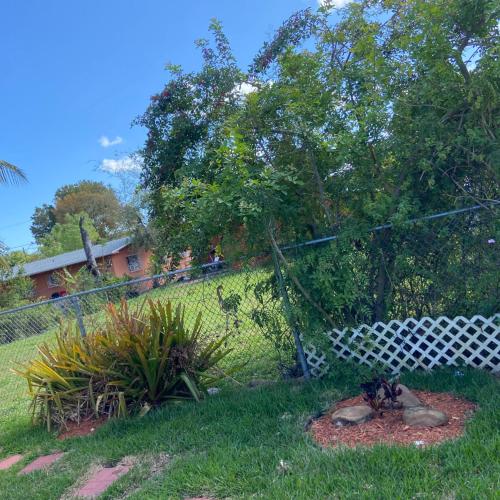 Eco-Shared Paradise – Photos 3