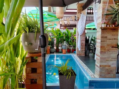 班昌的住宿－曠野住宿加早餐旅館，一座种植了植物的室内游泳池和一把遮阳伞