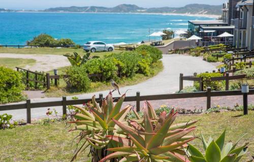 a car driving down a road next to the ocean at Brenton Haven Beachfront Resort in Knysna