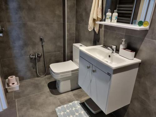 uma casa de banho com um WC, um lavatório e um chuveiro em Art Studio Park View 53 em Baku