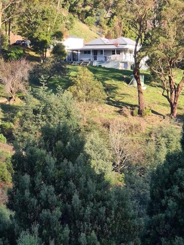 a house on top of a hill with trees at Foster - Nature Retreat - Nippards Nature Cottage in Boolarong