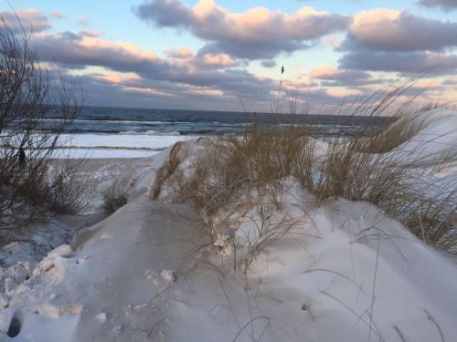 a beach with sand dunes and the ocean with snow at Pferdestall in Grömitz