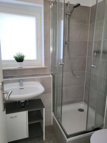 ein Bad mit einer Dusche und einem Waschbecken in der Unterkunft Exklusivwohnung Bad Lauchstädt in Bad Lauchstädt