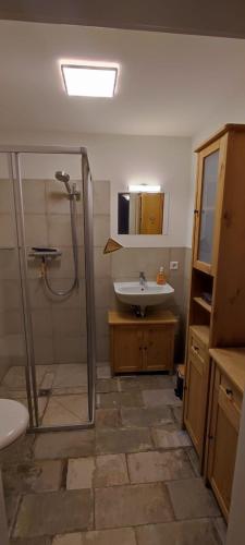 uma casa de banho com um chuveiro e um lavatório. em Wassermühle Förstgen - Eichenzimmer 