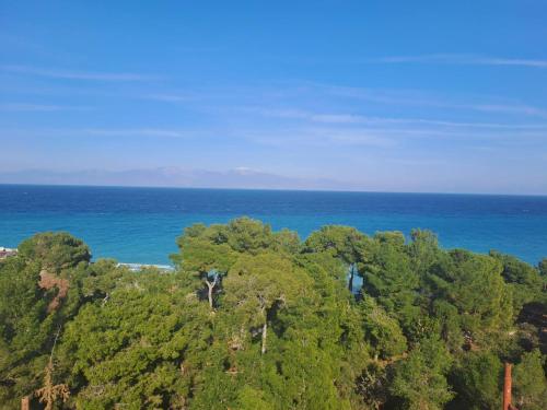 an aerial view of the ocean and a forest at Evita Blue in Xylokastro