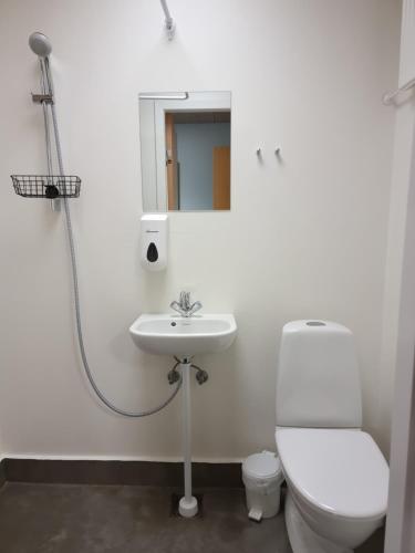 een badkamer met een toilet en een wastafel bij Hvide Sande Inn in Hvide Sande